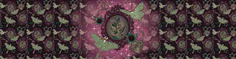 assets/images/Belladonna Frames carousel banner.jpg